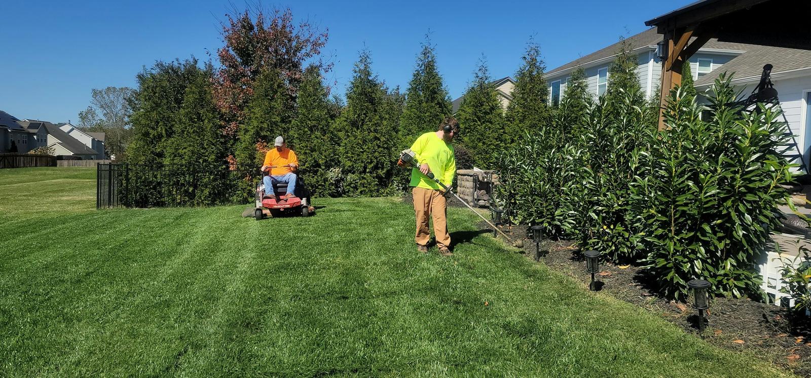 Riding mower cutting a striped green lawn beside a row of shrubs