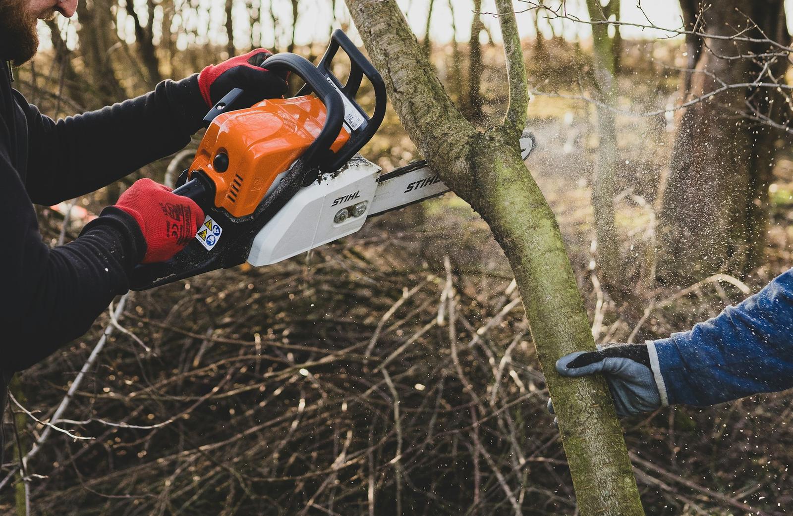 Worker cutting through a tree limb with a chainsaw